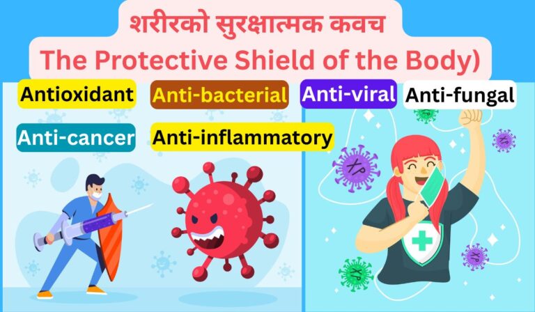 एन्टिअक्सिडेन्ट: शरीरको सुरक्षात्मक कवच (Antioxidants: The Protective Shield of the Body)